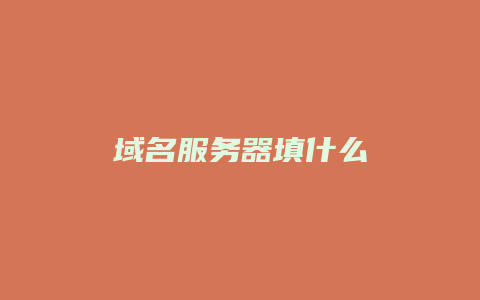 域名服务器填什么