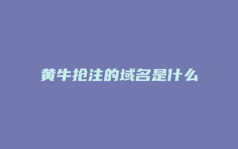 黄牛抢注的域名是什么