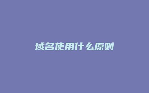 域名使用什么原则
