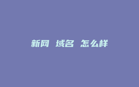 新网 域名 怎么样