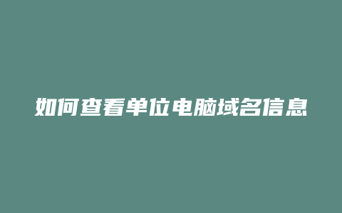 如何查看单位电脑域名信息