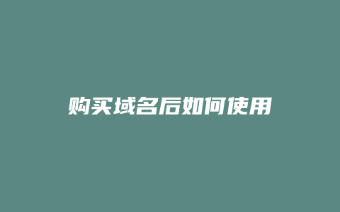 购买域名后如何使用