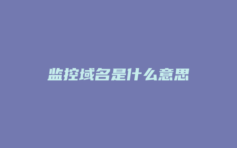 监控域名是什么意思