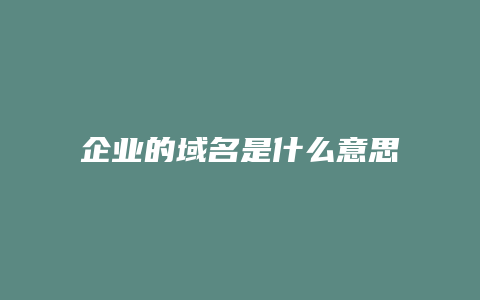 企业的域名是什么意思