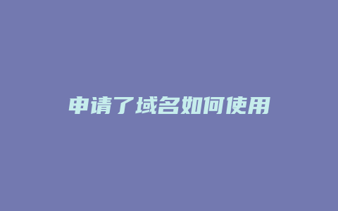 申请了域名如何使用