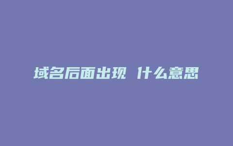 域名后面出现 什么意思
