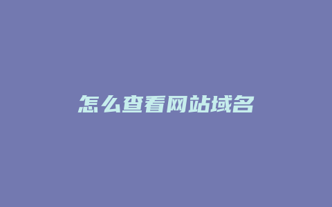 怎么查看网站域名