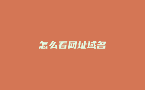 怎么看网址域名