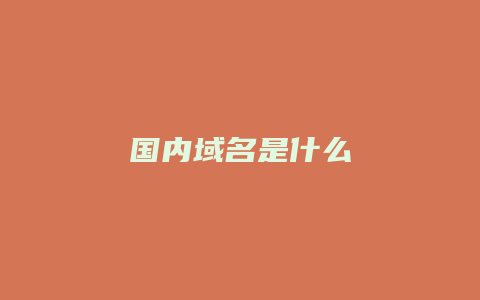国内域名是什么