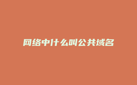 网络中什么叫公共域名