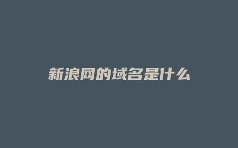 新浪网的域名是什么