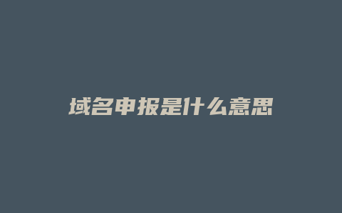 域名申报是什么意思