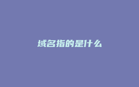 域名指的是什么