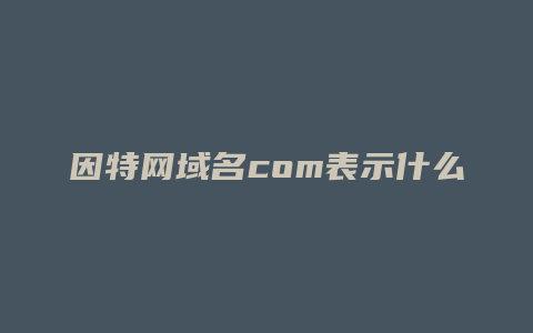 因特网域名com表示什么
