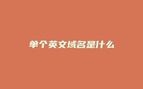 单个英文域名是什么