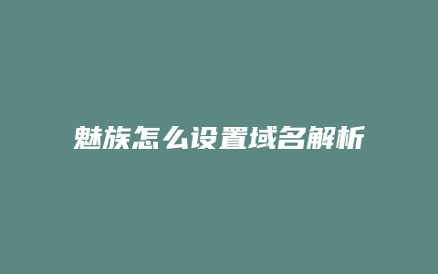 魅族怎么设置域名解析