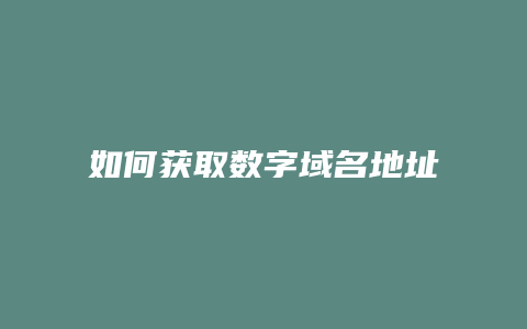 如何获取数字域名地址