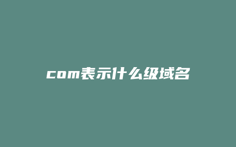 com表示什么级域名