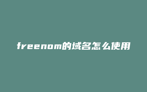 freenom的域名怎么使用