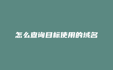 怎么查询目标使用的域名