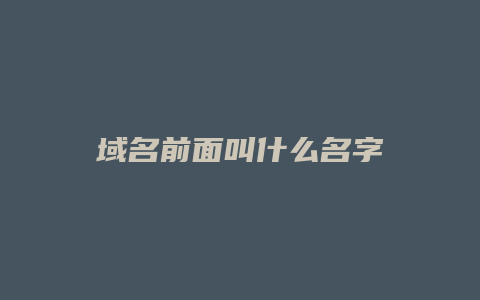 域名前面叫什么名字