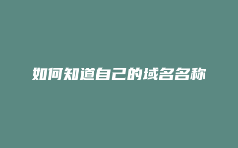 如何知道自己的域名名称