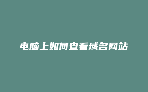 电脑上如何查看域名网站