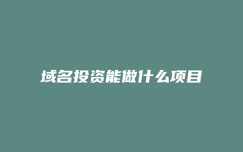 域名投资能做什么项目