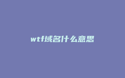 wtf域名什么意思