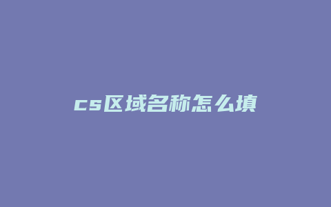 cs区域名称怎么填
