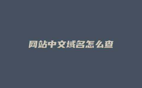 网站中文域名怎么查