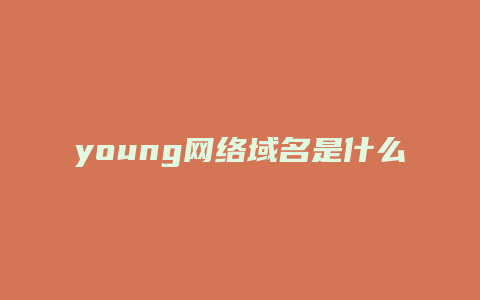 young网络域名是什么