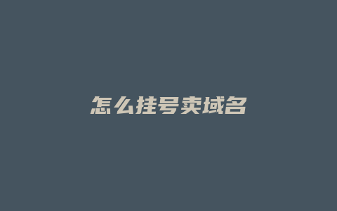 怎么挂号卖域名