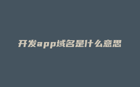 开发app域名是什么意思