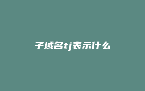 子域名tj表示什么