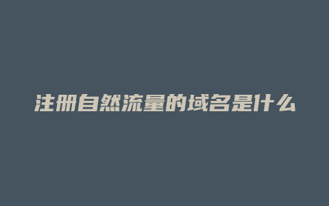 注册自然流量的域名是什么