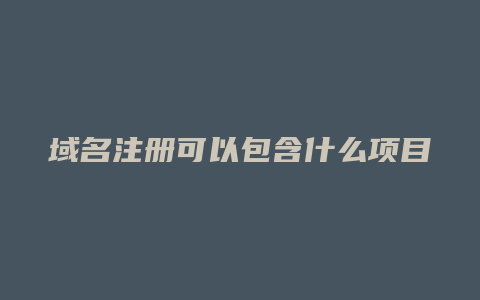 域名注册可以包含什么项目