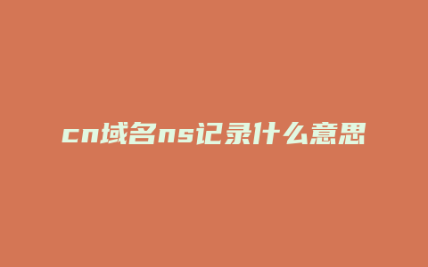cn域名ns记录什么意思