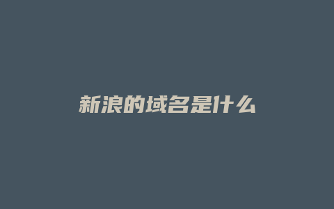 新浪的域名是什么