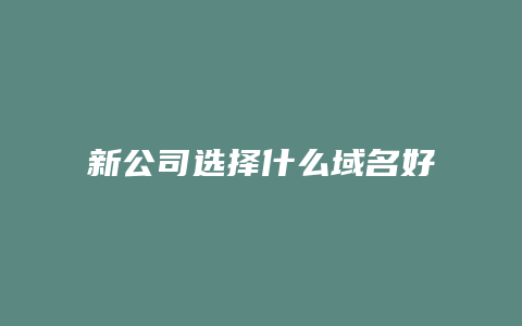 新公司选择什么域名好