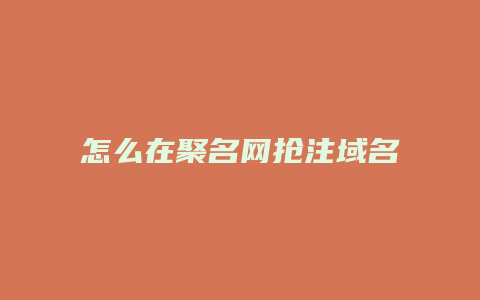 怎么在聚名网抢注域名