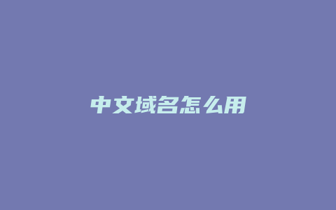 中文域名怎么用
