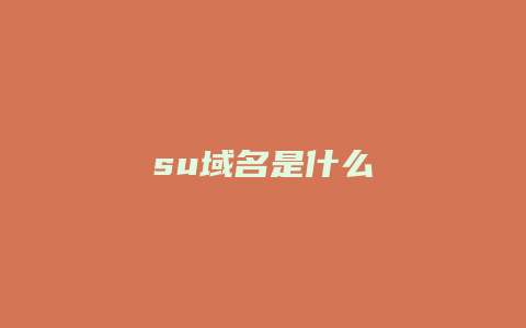 su域名是什么