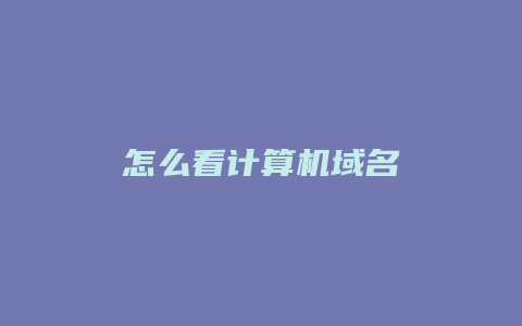 怎么看计算机域名