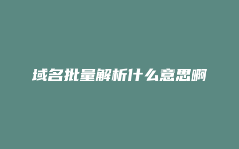 域名批量解析什么意思啊