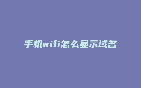 手机wifi怎么显示域名