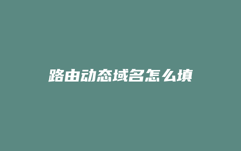 路由动态域名怎么填