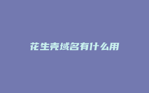 花生壳域名有什么用