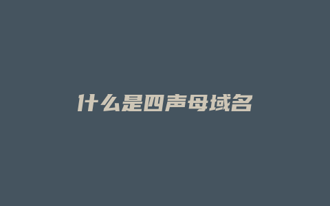 什么是四声母域名