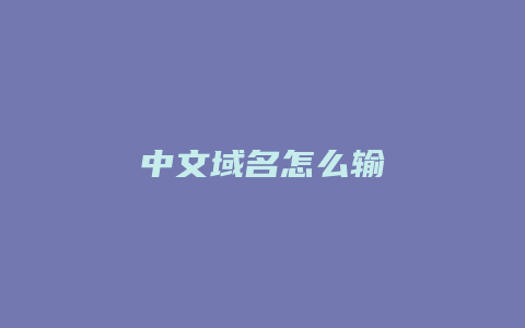 中文域名怎么输